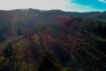 DJI_0434.MOV_snapshot_00.20.500 DJI_0434.MOV_snapshot_00.20.500