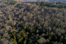 DJI_0435.MOV_snapshot_00.30.000 DJI_0435.MOV_snapshot_00.30.000