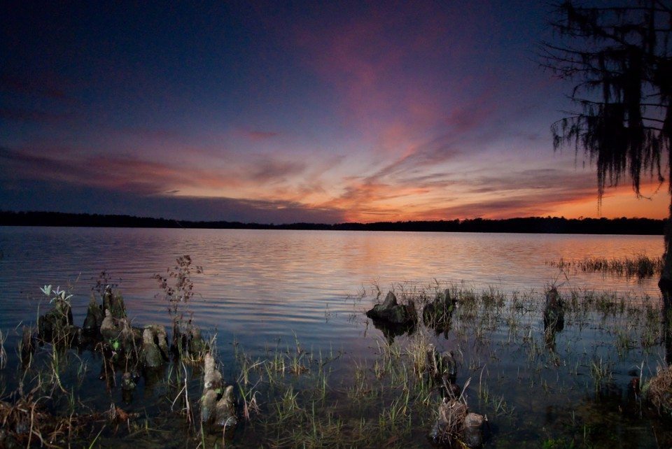 Florala, Alabama Landscape photo of sunset, cypress trees and water