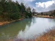 fixed-pond , About our Wedding Photographers, Don Wright Designs & Photography, Don Wright Designs & Photography