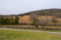 front-yard , About our Wedding Photographers, Don Wright Designs & Photography, Don Wright Designs & Photography
