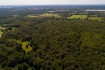 DJI_0012 DJI_0012