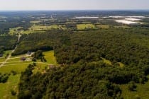 DJI_0015 DJI_0015