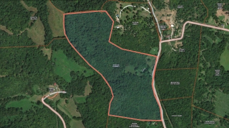 Wilson County Land For Sale | 1840 Smith Hollow | Crye-Leike Realtors