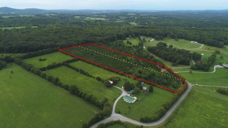 10+ Acres for Sale in Watertown | Poplar Hill Rd