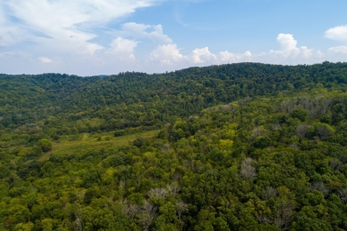 0 Hickman Creek Rd S, Hickman, TN | 330 Acres of Land for Sale