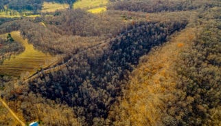 south point ridge land tract for sale hampshire tn - wes stone