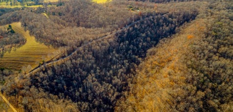 south point ridge land tract for sale hampshire tn - wes stone