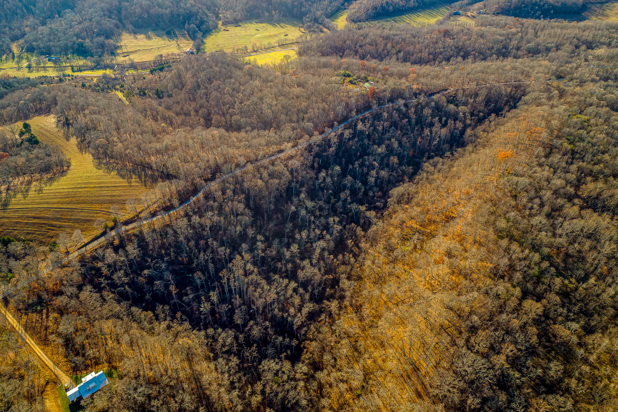 south point ridge land tract for sale hampshire tn - wes stone