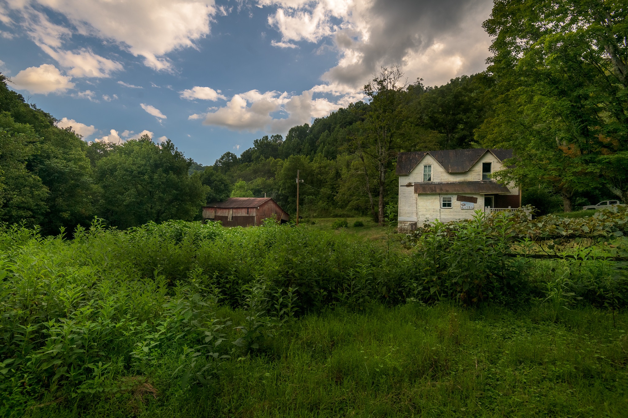Chestnut Mound TN Real Estate 49 Saint Marys Rd 64 Acres Don