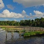 Lake side view of docks in Georgia