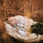Baby sits in woven wooden basket in amber field for family portrait in Nashville Tennessee