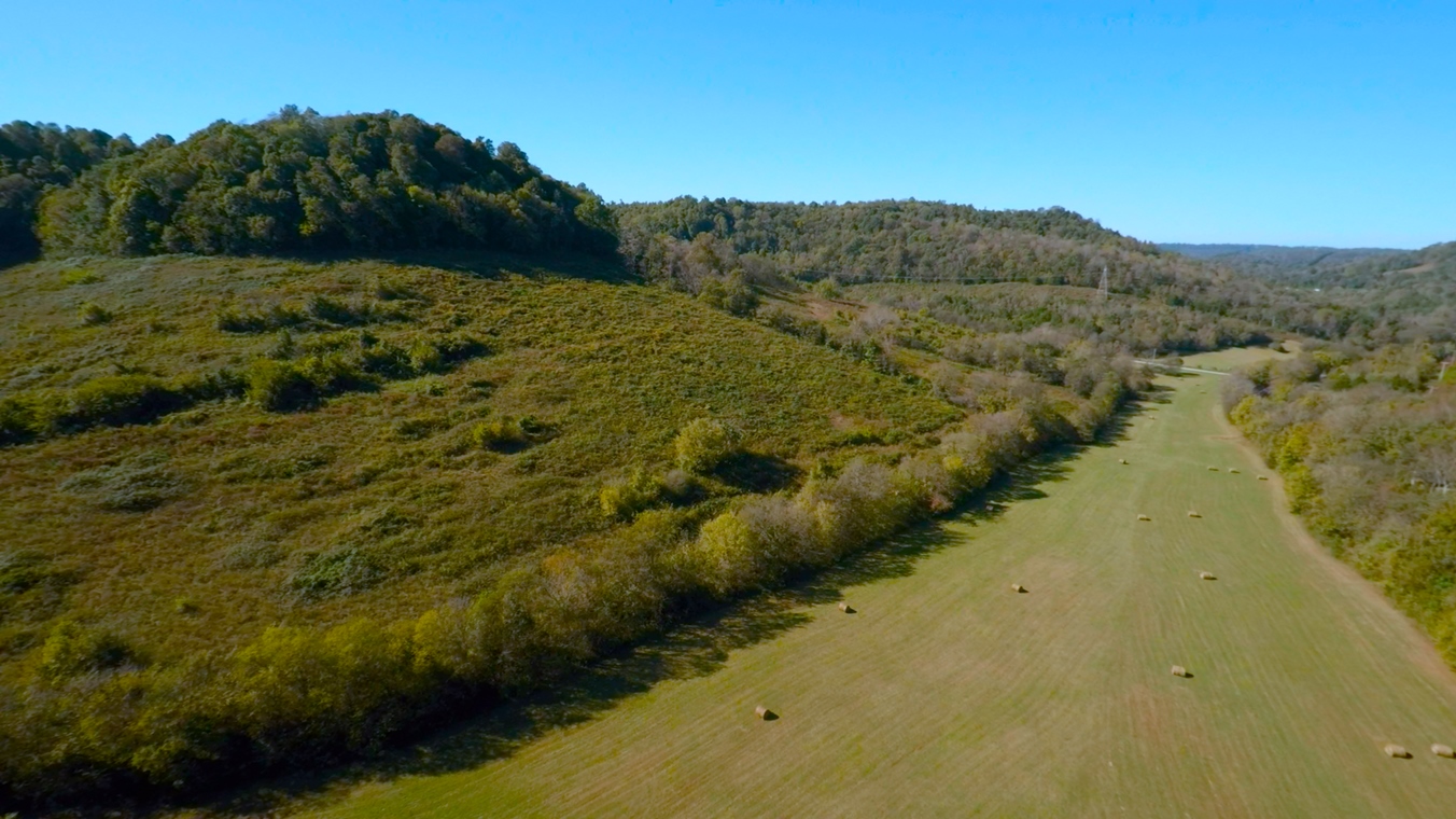 Putnam County TN | Buffalo Valley Farm for sale 172 acres
