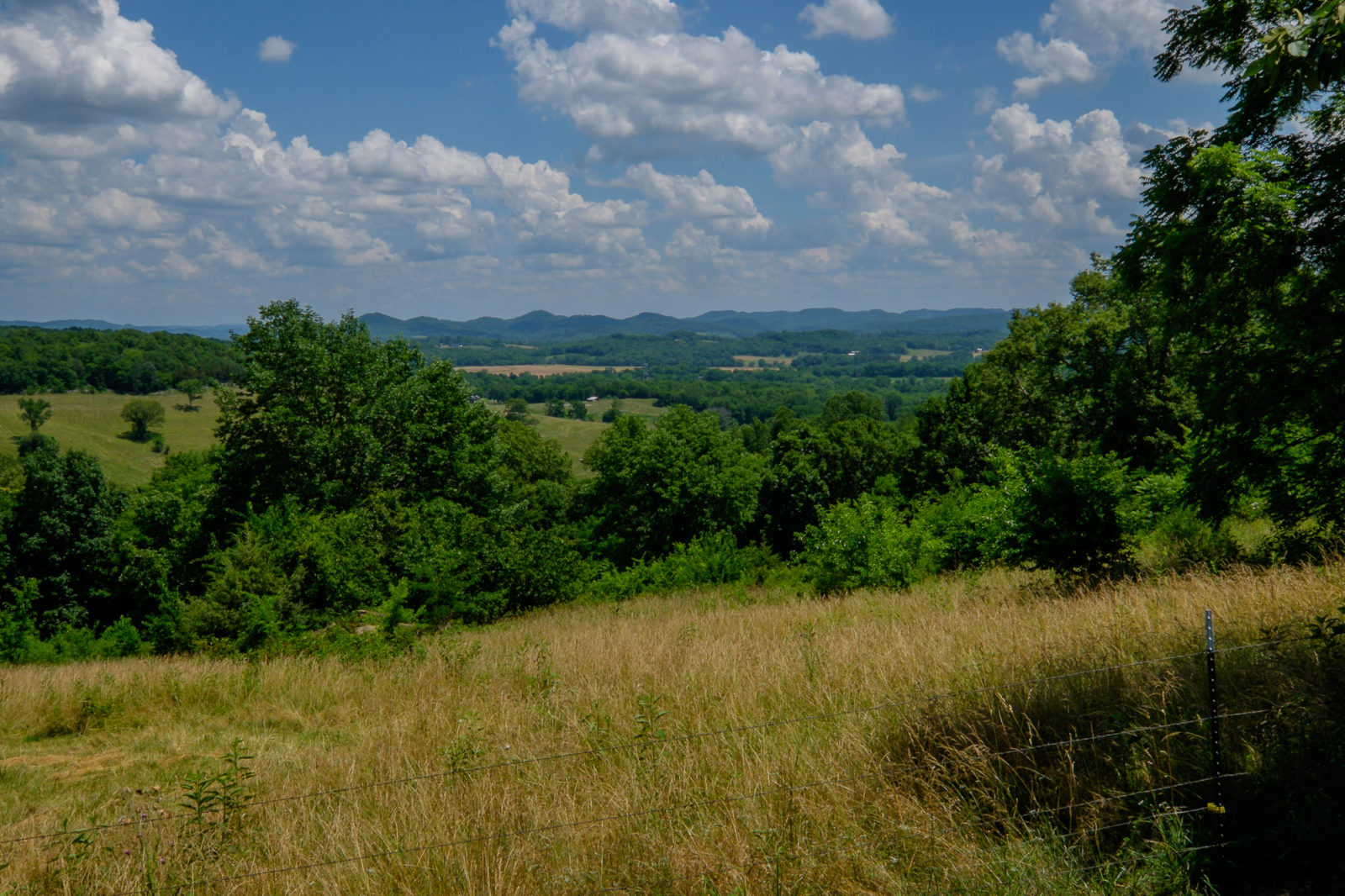 1040 Kelley Lane, Lebanon TN | Wes Stone