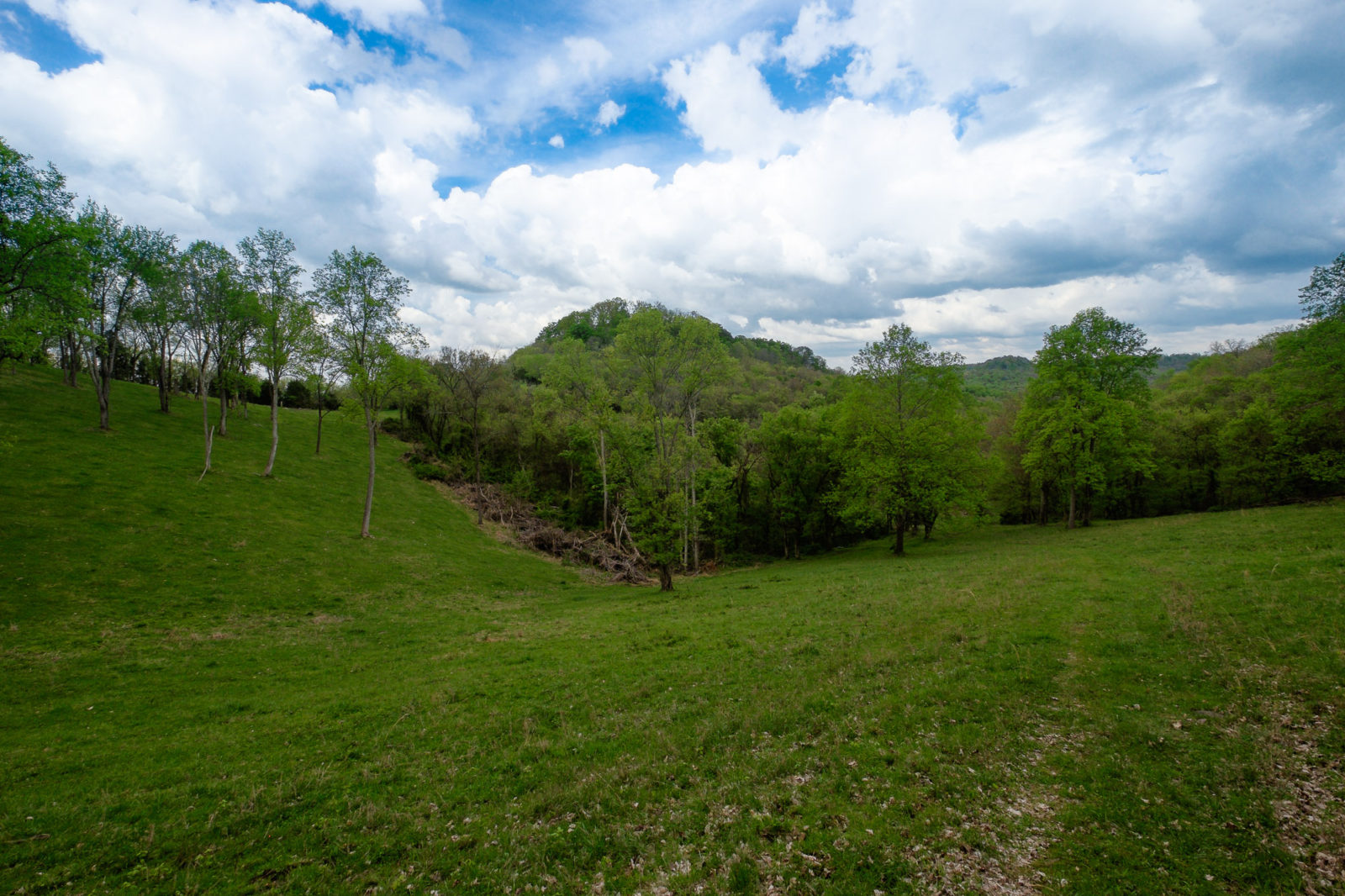 1944 Rholland Hollow, Liberty TN | Land & Farm Photography