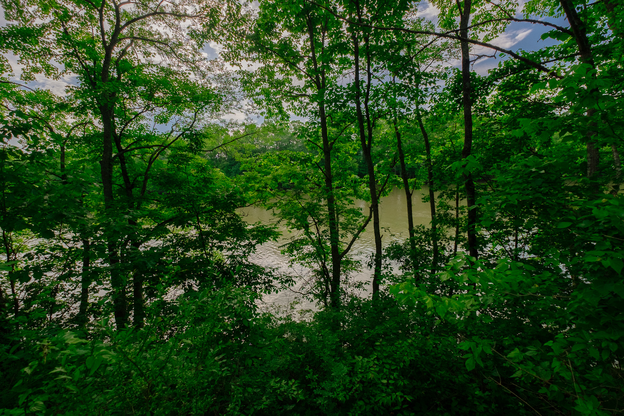 Celina TN Real Estate Land | 1800 Free Hill Rd | Wes Stone