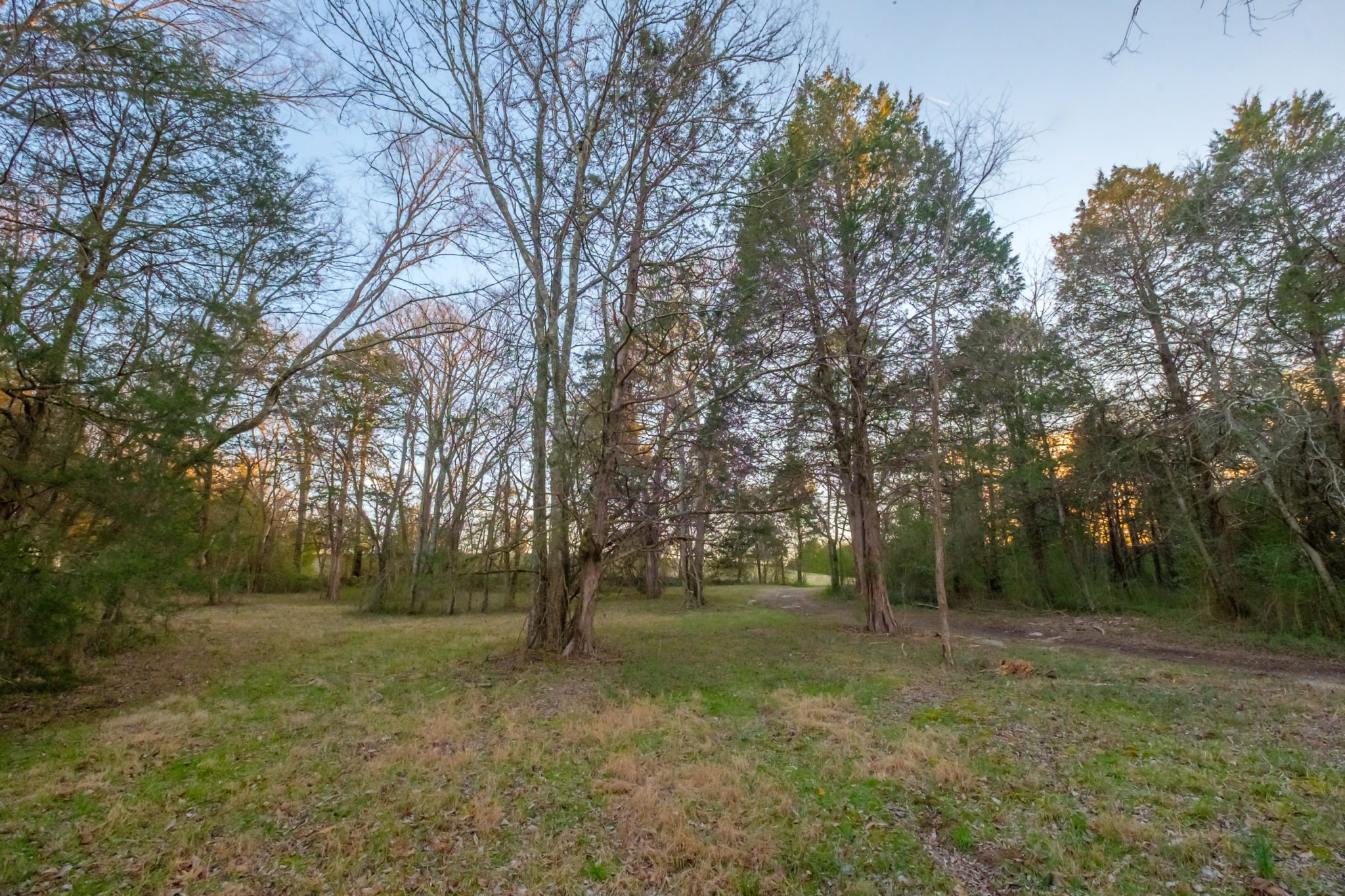 Land/Farm Video Tour | 9 Goose Creek | Wes Stone